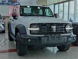 Great Wall 300
